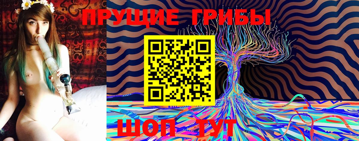 Псилоцибиновые грибы мицелий Луга
