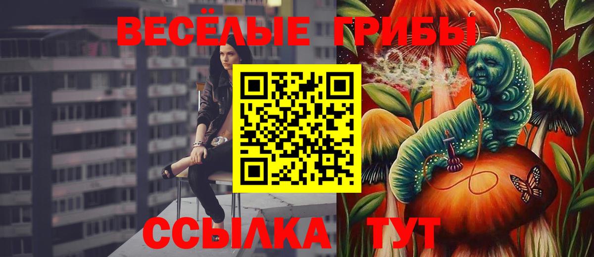 как найти   Псилоцибиновые грибы GOLDEN TEACHER  Вход с VPN  Псилоцибиновые грибы мухоморы  Луга 